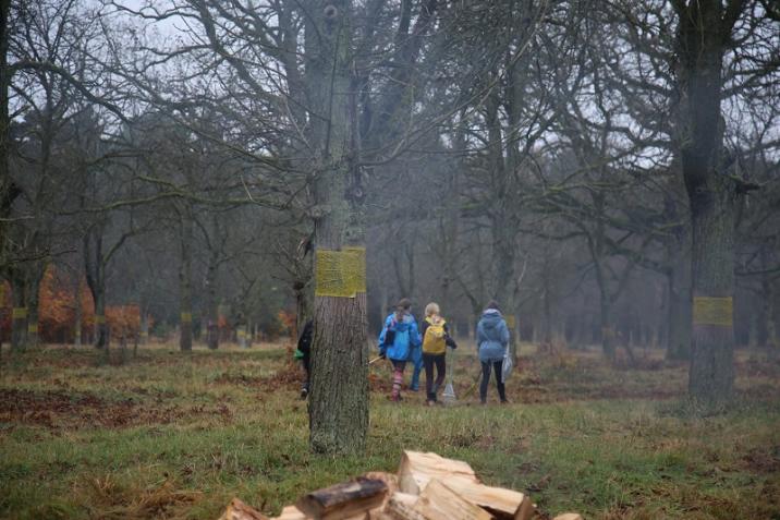 Fot&#x2e;&#x3a;&#x20;Katarzyna&#x20;Ziółek&#x20;Grabienie&#x20;czas&#x20;start&#x20;&#x28;zdjęcie&#x20;ukazuje&#x20;młodzież&#x20;niosącą&#x20;grabie&#x29;