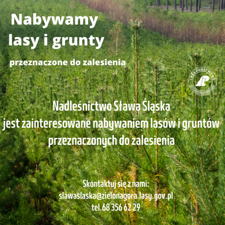 NADLEŚNICTWO SŁAWA ŚLĄSKA NABYWA LASY I GRUNTY DO ZALESIENIA